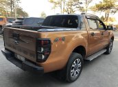 Cần bán gấp Ford Ranger đời 2018, màu ghi vàng 