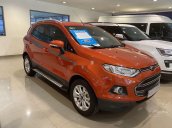 Bán ô tô Ford EcoSport Titanium sản xuất 2017, giá tốt