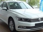 Cần bán xe Volkswagen Passat Bluemotion 2018, nhập khẩu nguyên chiếc