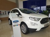 Siêu khuyến mại bán ô tô Ford EcoSport Titanium đời 2020, đủ màu giá tốt tặng phụ kiện
