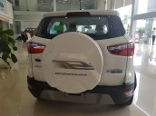 Siêu khuyến mại bán ô tô Ford EcoSport Titanium đời 2020, đủ màu giá tốt tặng phụ kiện
