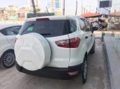 Tuyên Quang Ford cần bán Ford EcoSport Ambien AT 2020 chỉ với 500tr sở hữu ngay