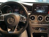 Bán Mercedes C300 đời 2015 xe gia đình