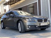 Bán BMW 5 Series 520i LCL đời 2014, nhập khẩu nguyên chiếc