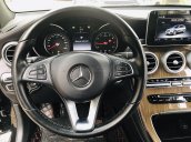 Mercedes Benz GLC 250 4Matic (2016), 1 chủ từ mới, mẫu mới đã có loa Burmester