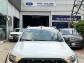 Ranger Wildtrak 3.2 2017, BH 01 năm, hỗ trợ góp 70% xe bán tại hãng