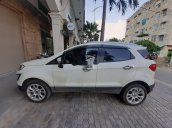 Cần bán lại xe Ford EcoSport đời 2018, xe nhập