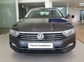 (VW Sài Gòn) bán Passat Bluemotion High màu xám, hỗ trợ trước bạ 148 triệu giao ngay