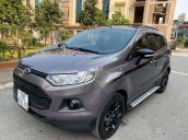 Cần bán gấp Ford EcoSport Titanium 2017, màu xám, 520 triệu