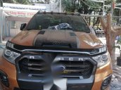 Bán xe Ford Ranger sản xuất 2019 ít sử dụng, giá 850tr