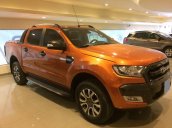 Bán Ford Ranger Wildtrak sản xuất năm 2017, nhập khẩu nguyên chiếc, giá chỉ 745 triệu