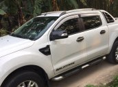 Cần bán xe Ford Ranger sản xuất năm 2014, nhập khẩu số tự động, giá tốt