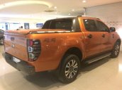 Bán Ford Ranger Wildtrak sản xuất năm 2017, nhập khẩu nguyên chiếc, giá chỉ 745 triệu