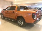 Bán Ford Ranger Wildtrak sản xuất năm 2017, nhập khẩu nguyên chiếc, giá chỉ 745 triệu