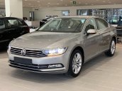 (VW Sài Gòn) Passat Bluemotion High hỗ trợ 100% trước bạ + giao xe ngay + vay 90%