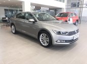 (VW Sài Gòn) Passat Bluemotion High hỗ trợ 100% trước bạ + giao xe ngay + vay 90%