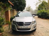 Bán Volkswagen Tiguan 2.0 AT đời 2009, nhập khẩu nguyên chiếc