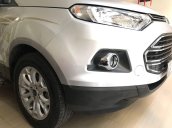 Bán xe Ford EcoSport đời 2017, màu ghi bạc, xe bảo dưỡng hãng