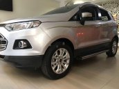 Bán xe Ford EcoSport đời 2017, màu ghi bạc, xe bảo dưỡng hãng