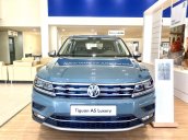 VW: Tiguan Luxury một siêu phẩm - Hỗ trợ lái thử, hỗ trợ trả góp