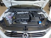 Volkswagen Scirocco siêu phẩm ở đâu siêu phẩm ở đây chứ đâu hỗ trợ lái thử, hỗ trợ trả góp