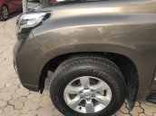 Bán nhanh chiếc Toyota Prado đời 2015, màu nâu, nhập khẩu nguyên chiếc