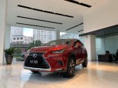 Bán Lexus NX300 sản xuất 2020, nhập khẩu, đủ màu giao ngay