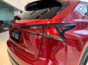 Bán Lexus NX300 sản xuất 2020, nhập khẩu, đủ màu giao ngay