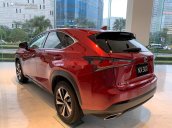 Bán Lexus NX300 sản xuất 2020, nhập khẩu, đủ màu giao ngay