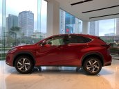 Bán Lexus NX300 sản xuất 2020, nhập khẩu, đủ màu giao ngay