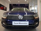 Bán Volkswagen Passat sản xuất 2019, màu xanh lam, nhập khẩu