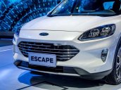 Bán xe Ford Escape 2020, màu trắng