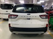 Bán xe Ford Escape 2020, màu trắng