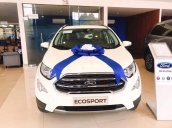 Bán Ford EcoSport sản xuất 2019, nhiều ưu đãi