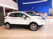 Bán Ford EcoSport sản xuất 2019, nhiều ưu đãi