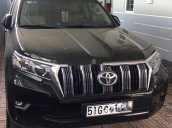 Cần bán Toyota Prado sản xuất năm 2018, xe nhập