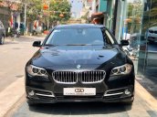 Cần bán gấp BMW 5 Series 2016, màu đen