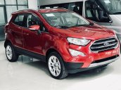 Bán xe Ford EcoSport sản xuất 2020