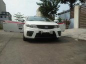 Cần bán xe Kia Cerato Koup 2.0 AT 2010, màu trắng xe gia đình, giá tốt