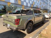 Chính chủ bán Ford F150 Raptor 3.5 V6 Ecoboost sản xuất và đăng ký năm 2019 