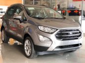 Ford Ecosport giảm giá kịch sàn, ưu đãi khủng 