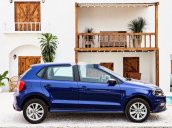 Cần bán xe Volkswagen Polo năm 2020, màu xanh lam, nhập khẩu nguyên chiếc