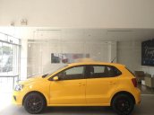 Bán xe Volkswagen Polo đời 2016, xe nhập