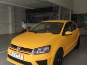 Bán xe Volkswagen Polo đời 2016, xe nhập