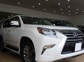 Bán lại chiếc Lexus GX 460 đời 2018, giá cực tốt, giao xe nhanh