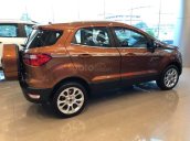 Cần bán xe Ford EcoSport đời 2019