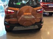 Cần bán xe Ford EcoSport đời 2019