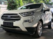 Bán ô tô Ford EcoSport đời 2020, màu trắng