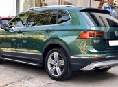 Volkswagen Tiguan Luxury năm 2019