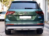 Volkswagen Tiguan Luxury năm 2019